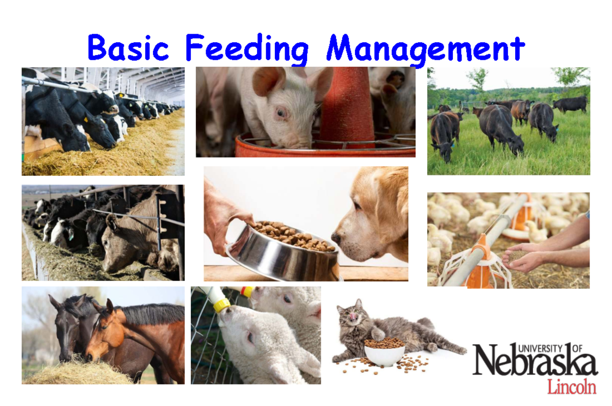 Basic Feeding Management: Body Condition Scoring in Livestock & Pets ...