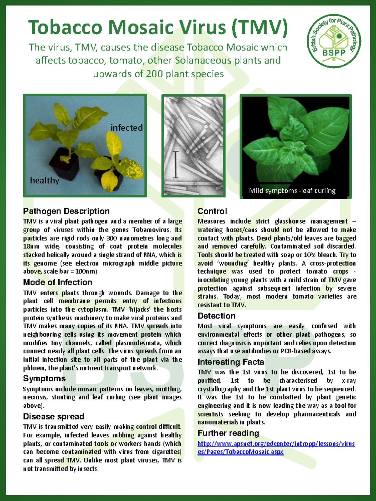 is cigarette tobacco fermented Chapter 4. Sorting & Fermentation