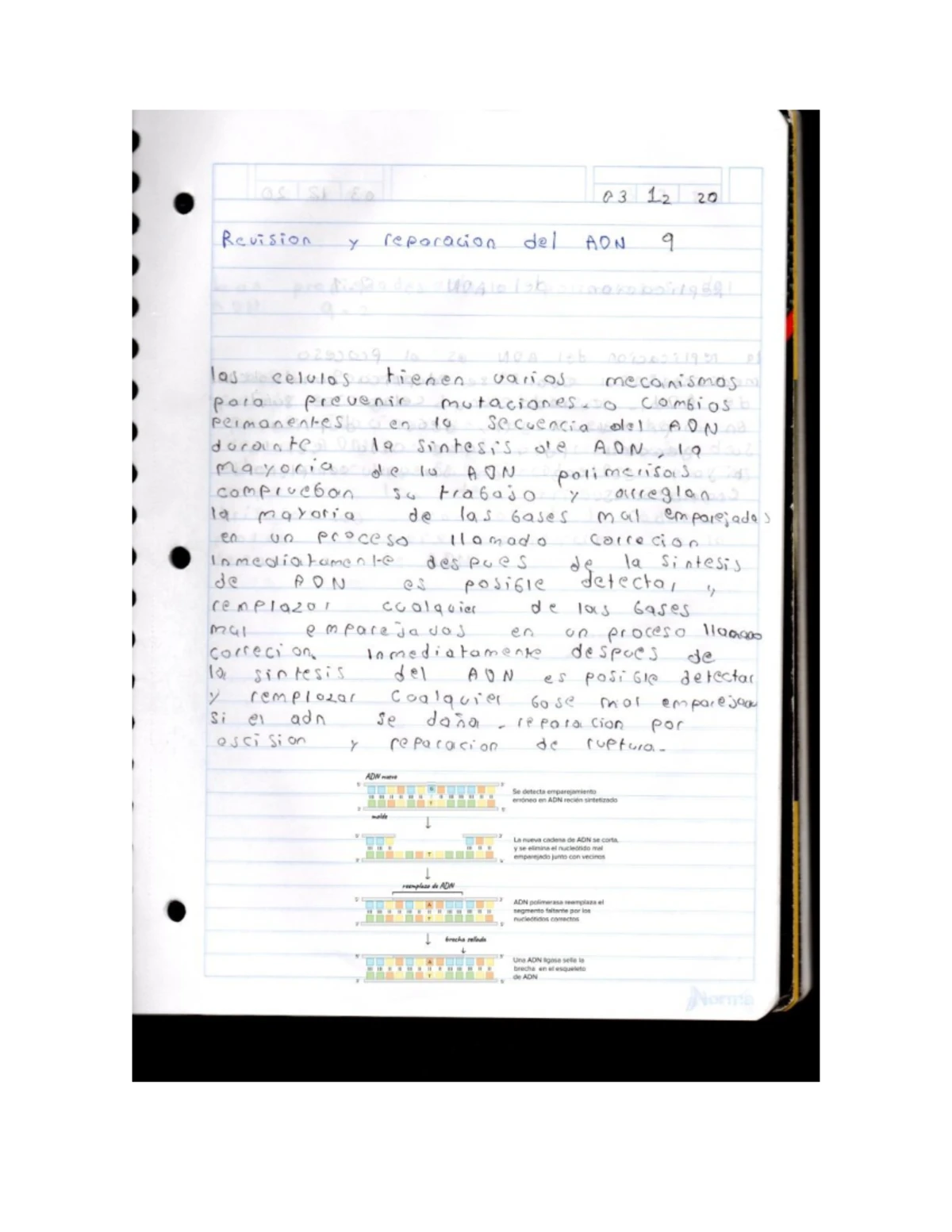 Oswestry Disability Index (ODI) Assessment Questionnaire - Studocu
