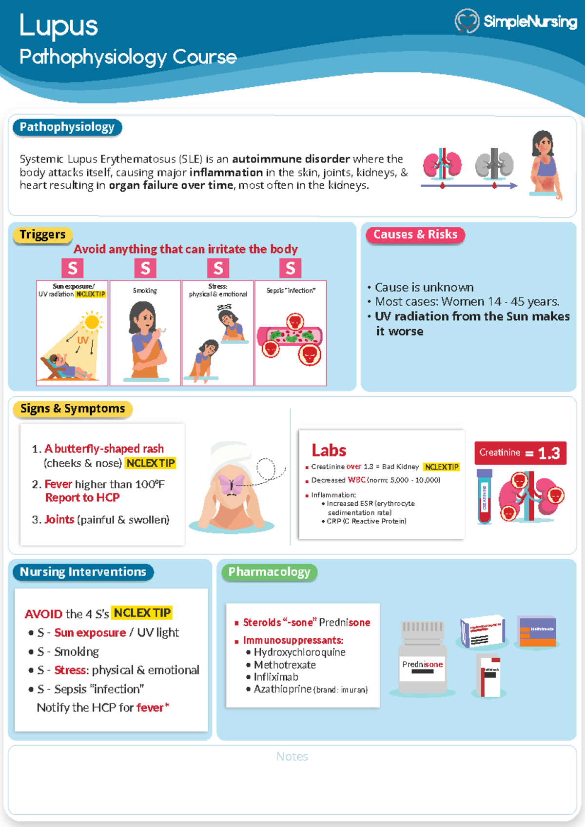 4. Lupus SLE - systemic lupus erythematosus - Lupus Pathophysiology ...