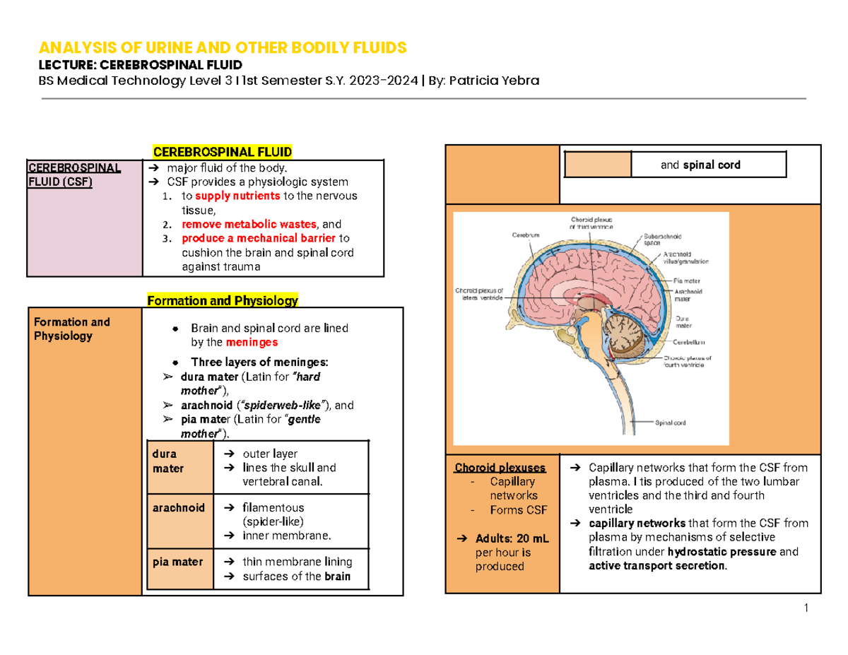 Cerebrospinal Fluid Lecture Notes - BS Med Tech Level 3 1st Semester ...