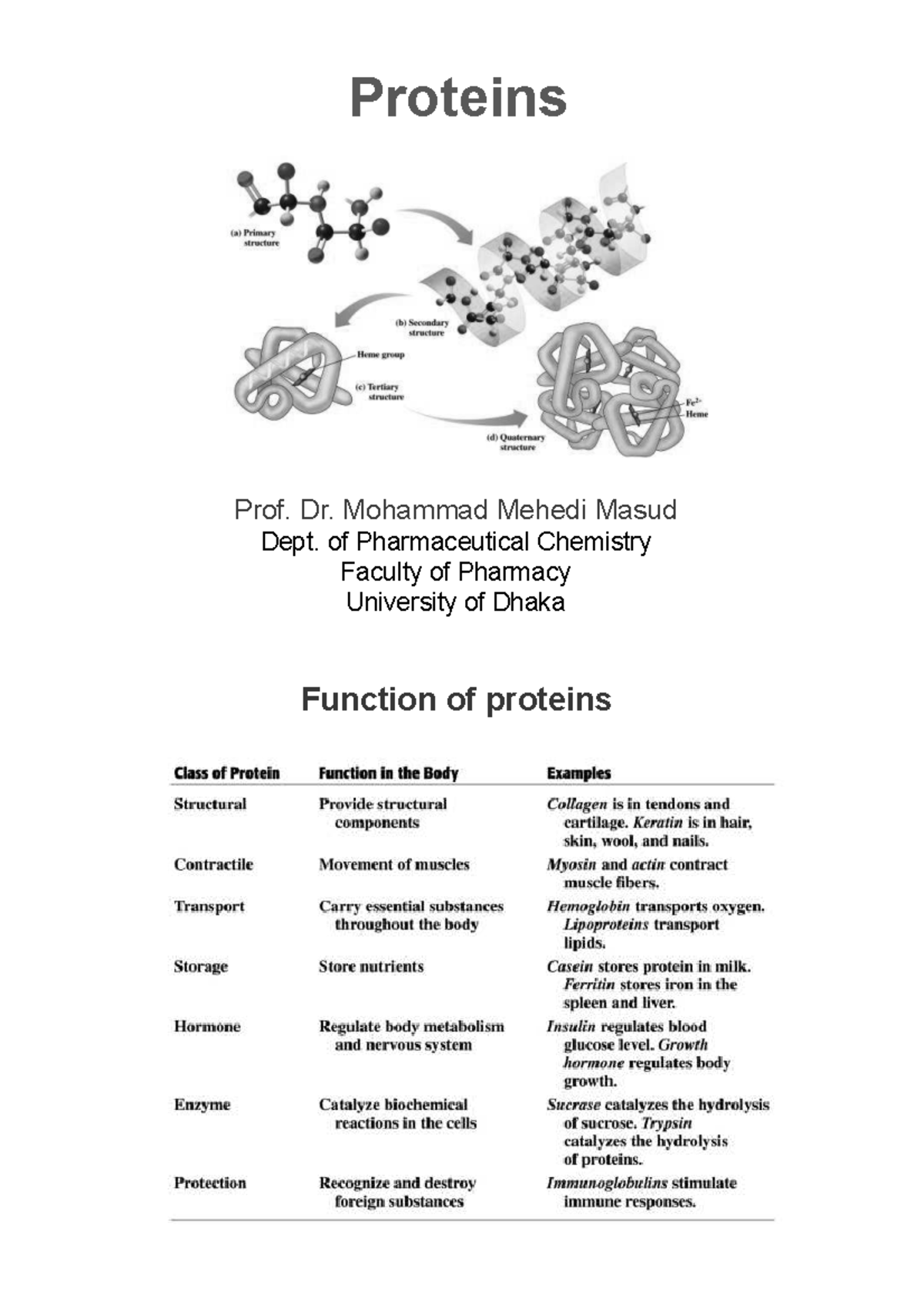 Biochemistry 101: Overview of Protein Structure and Function - Studocu