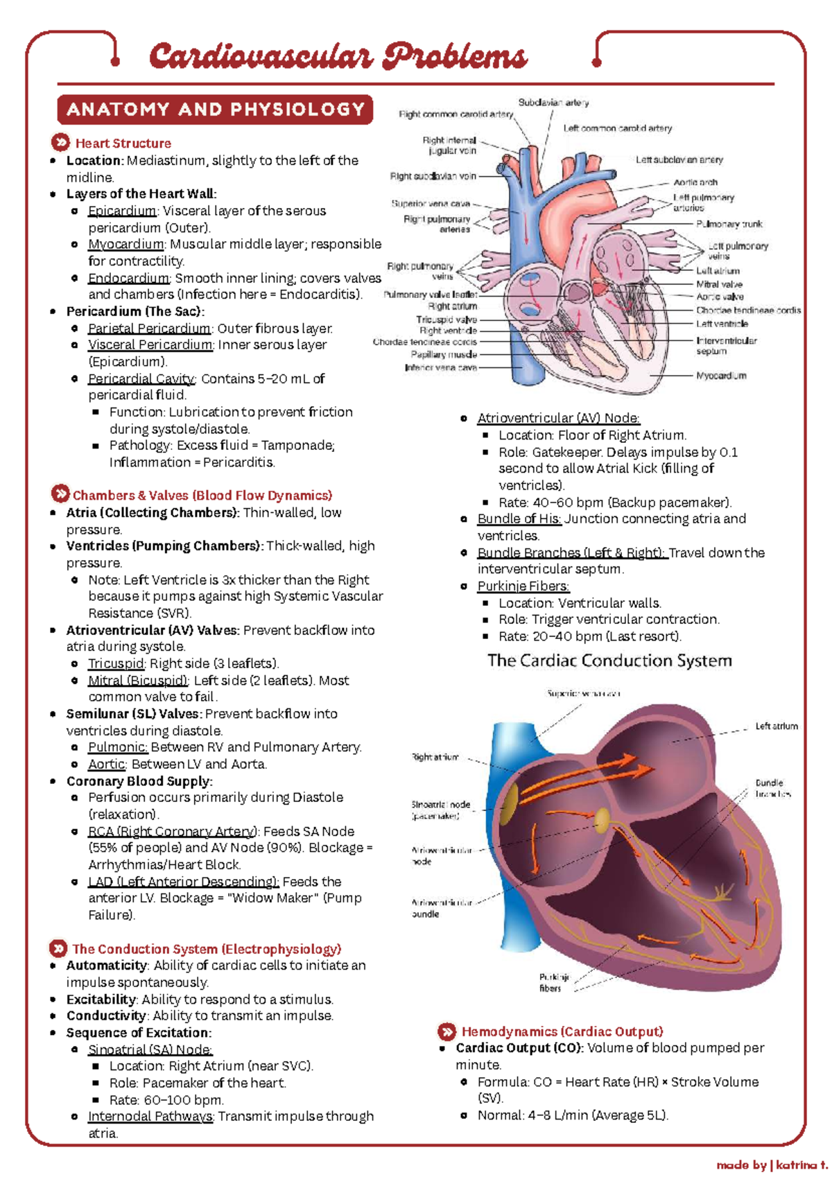 Cardiovascular Problems: Anatomy & Physiology Overview (NUR 101) - Studocu