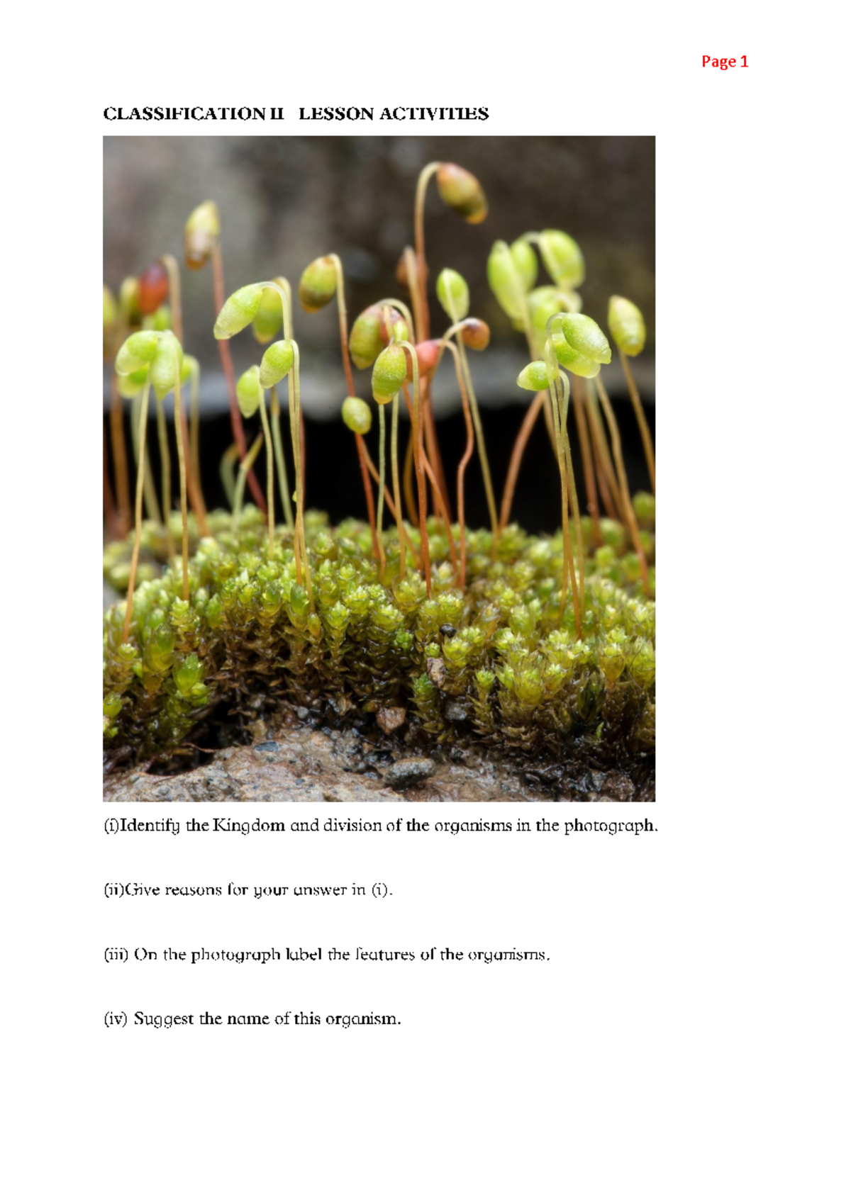 Classification II Photos - Page 1 CLASSIFICATION II LESSON ACTIVITIES ...
