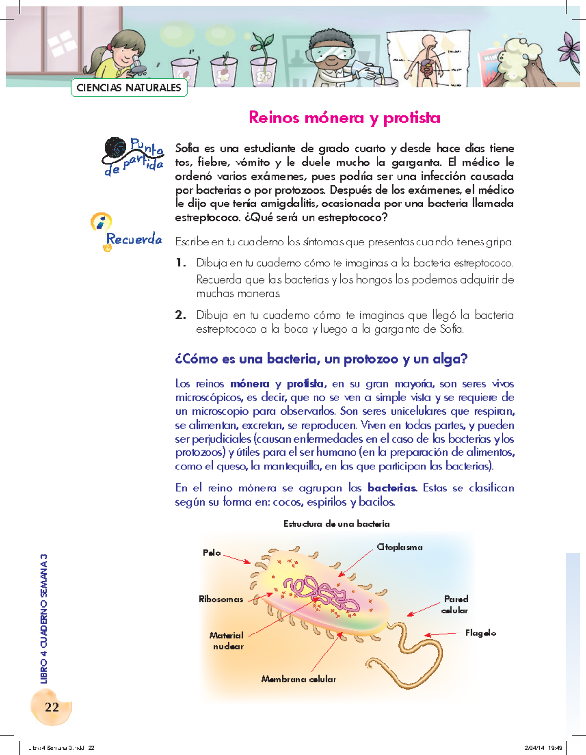 Reinos Mónera y Protista: Características y Comparaciones - Studocu