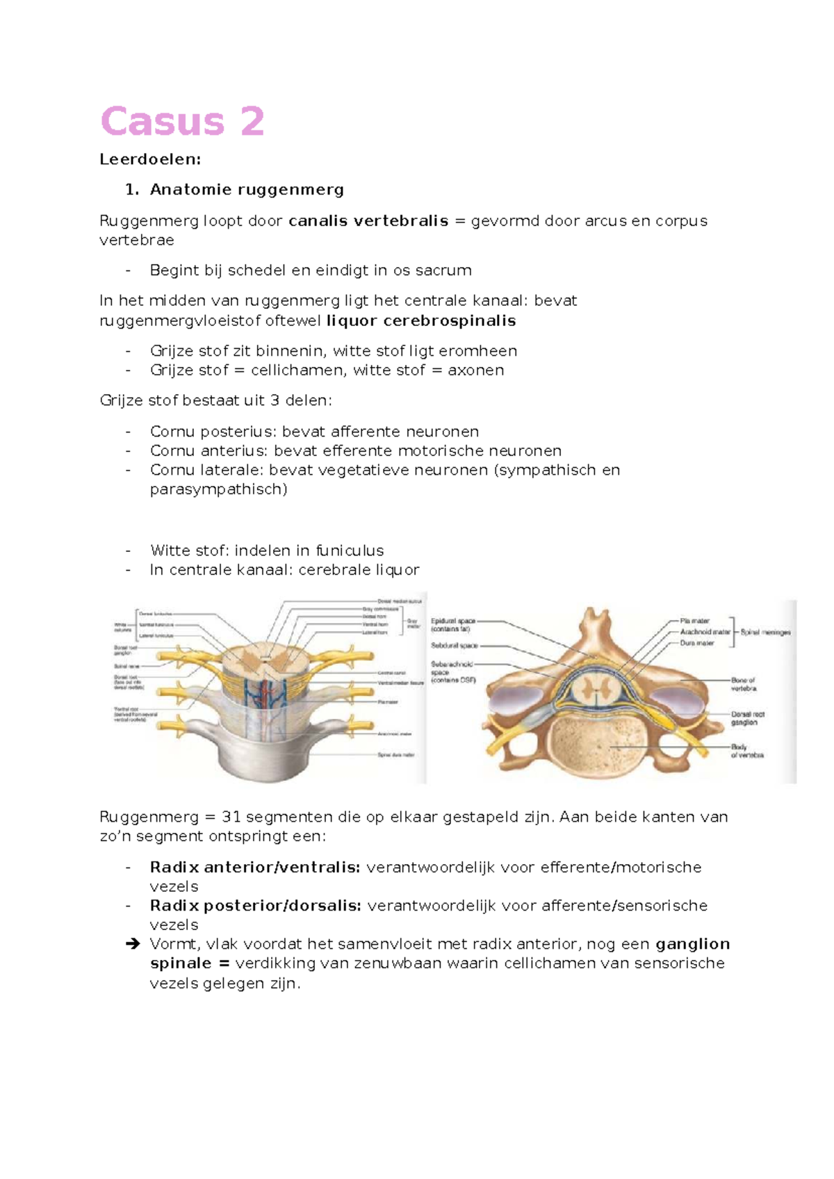 Casus 2: Anatomie en Pathologie van het Ruggenmerg en Hernia HNP ...