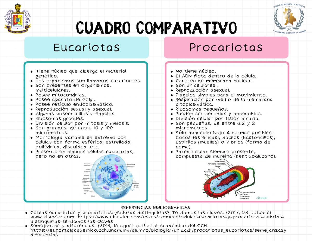 Cuadro Comparativo de Células Eucariotas y Procariotas: Claves