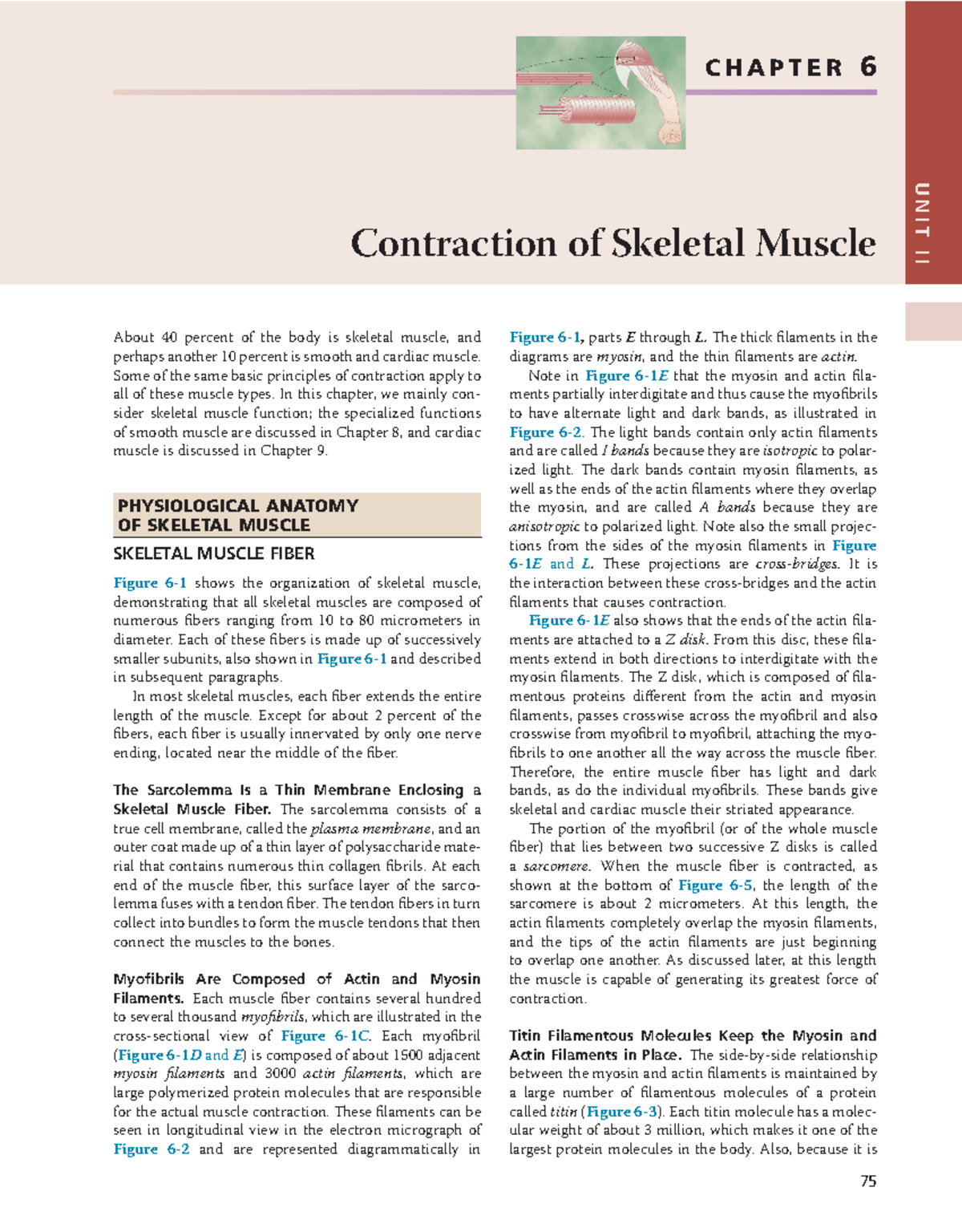 Contraction of Skeletal Muscle - Guyton and Hall Textbook (PDF ...