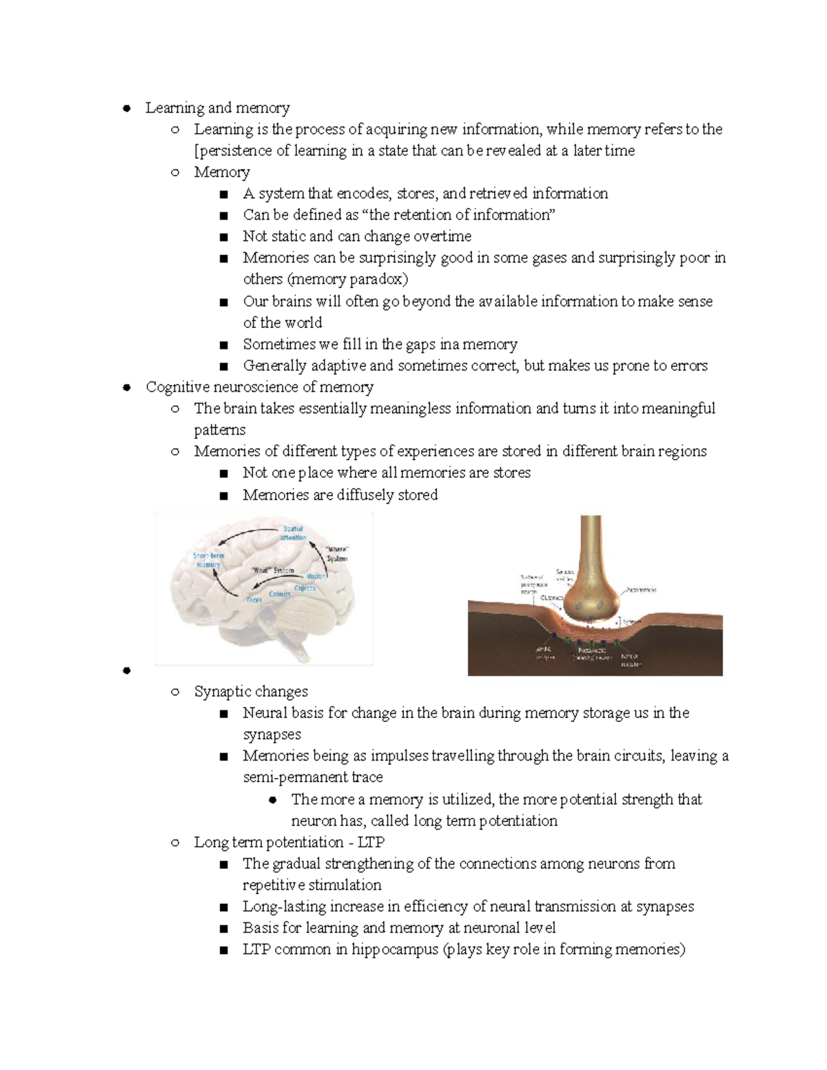 Memory - Lecture Notes on Learning and Cognitive Neuroscience - Studocu