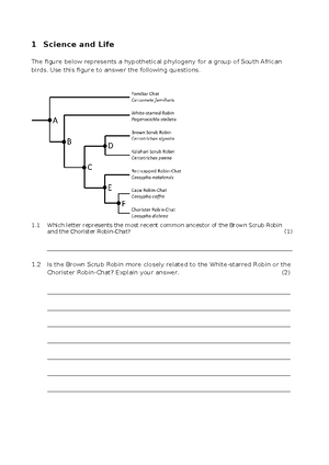 POLS102 Course Outline 2024 - UNIVERSITY OF KWAZULU-NATAL ...