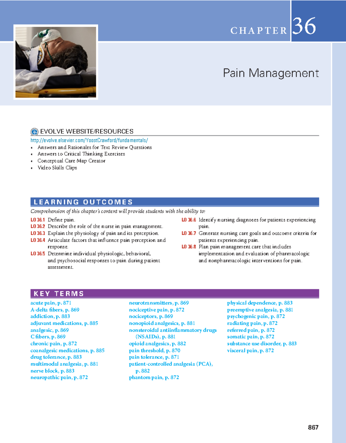 Chapter 36: Pain Management in Nursing (NURS 5400) Study Notes - Studocu