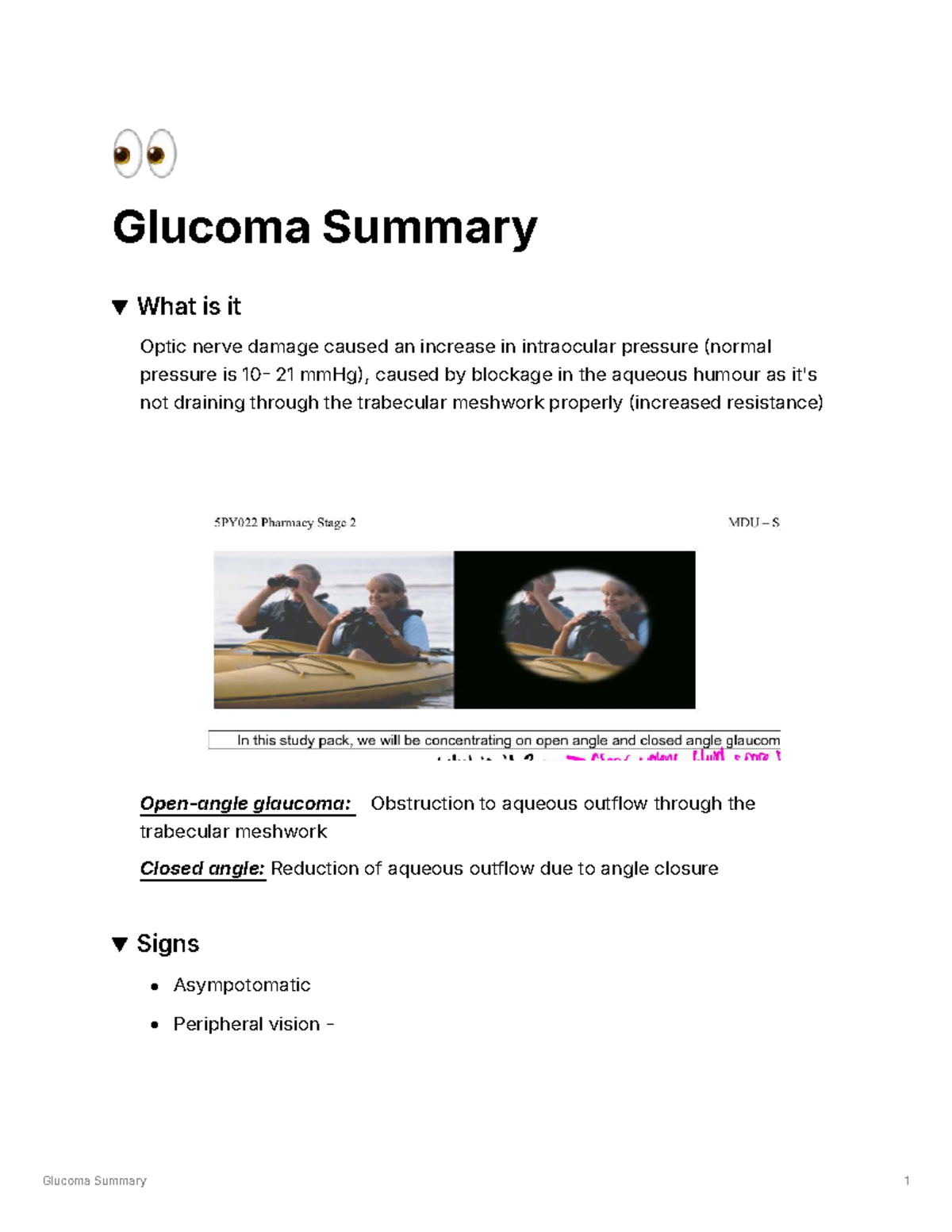 1e810852-7759-4004-ba83-a9a7a15da71b Glucoma Summary - 👀 Glucoma ...