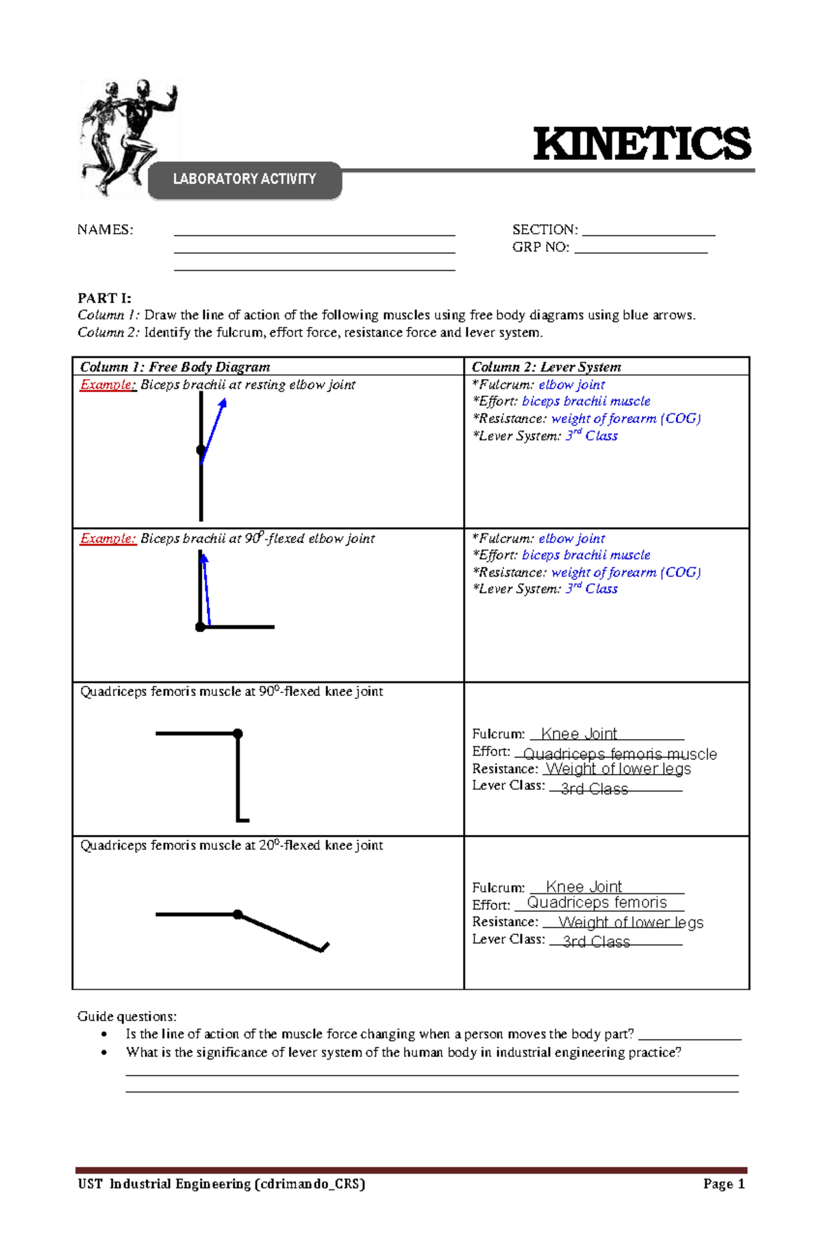 Worksheet 4: Kinetics in Biomechanics (UST IE) - Studocu