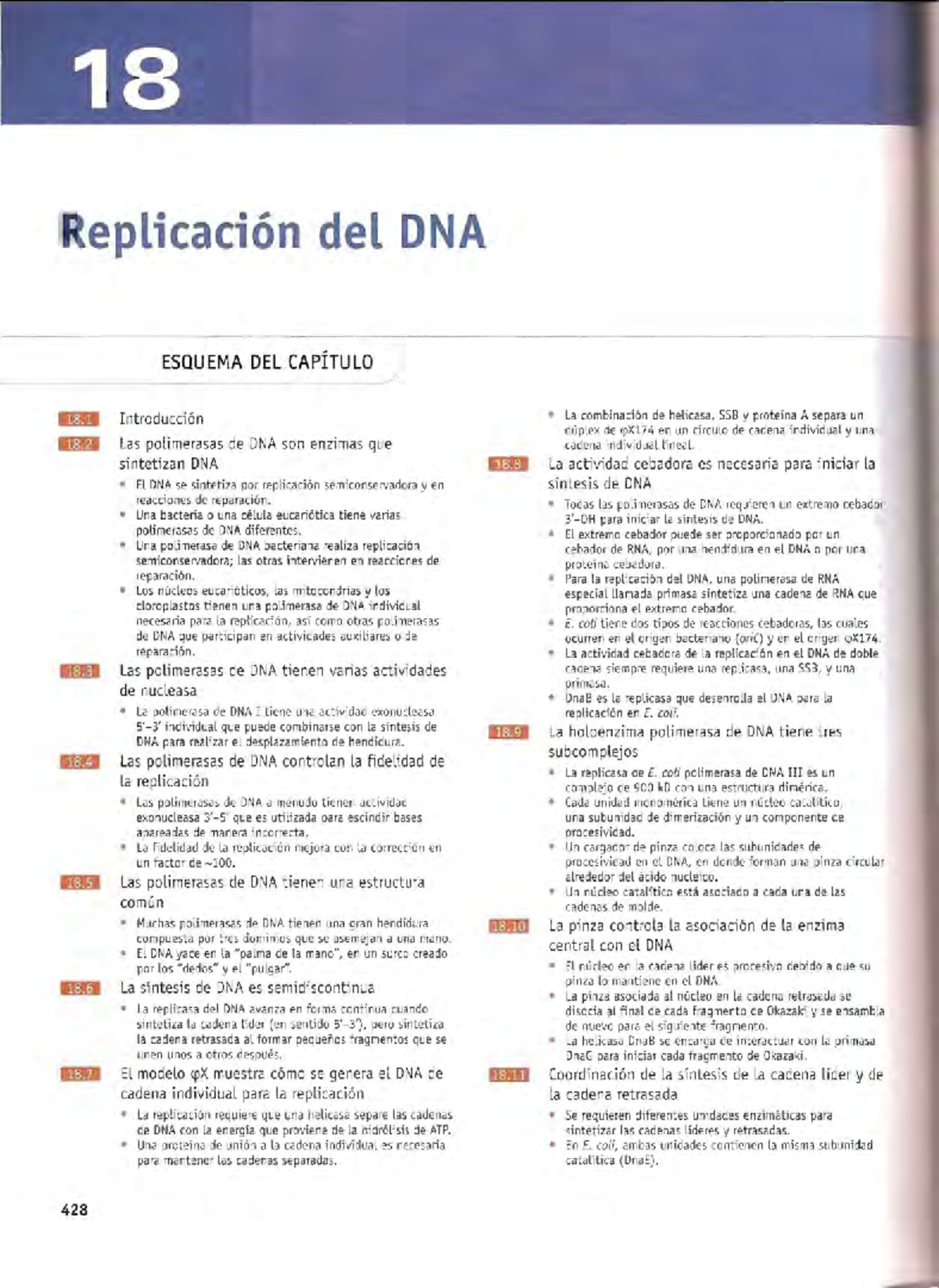 Replicación del DNA: Esquema del Capítulo D1 (Genes IX) - Studocu