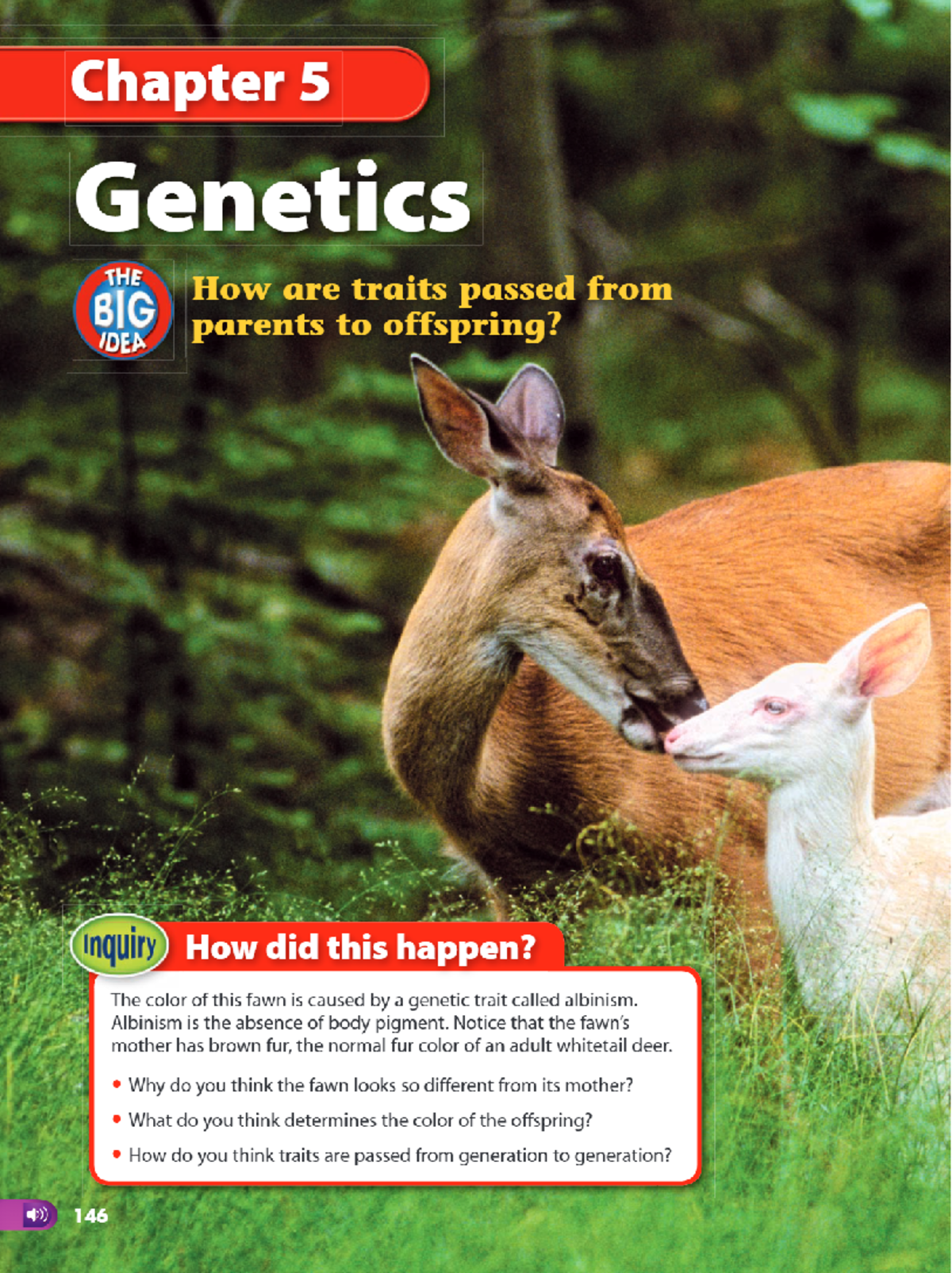 Chapter 5 Genetics: Understanding Inheritance and Traits - Studocu