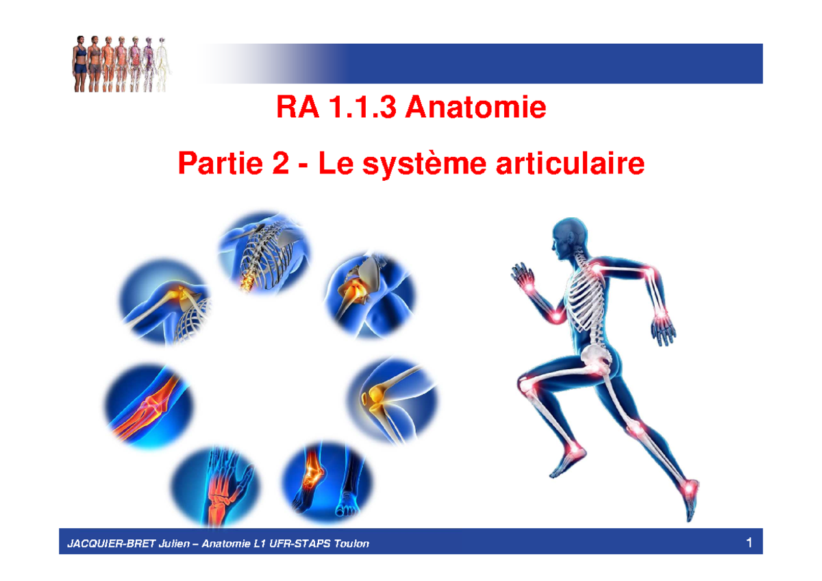 Articulaire-VM