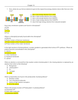 Protein Structure and Function: Comprehensive Overview for BIO101 ...