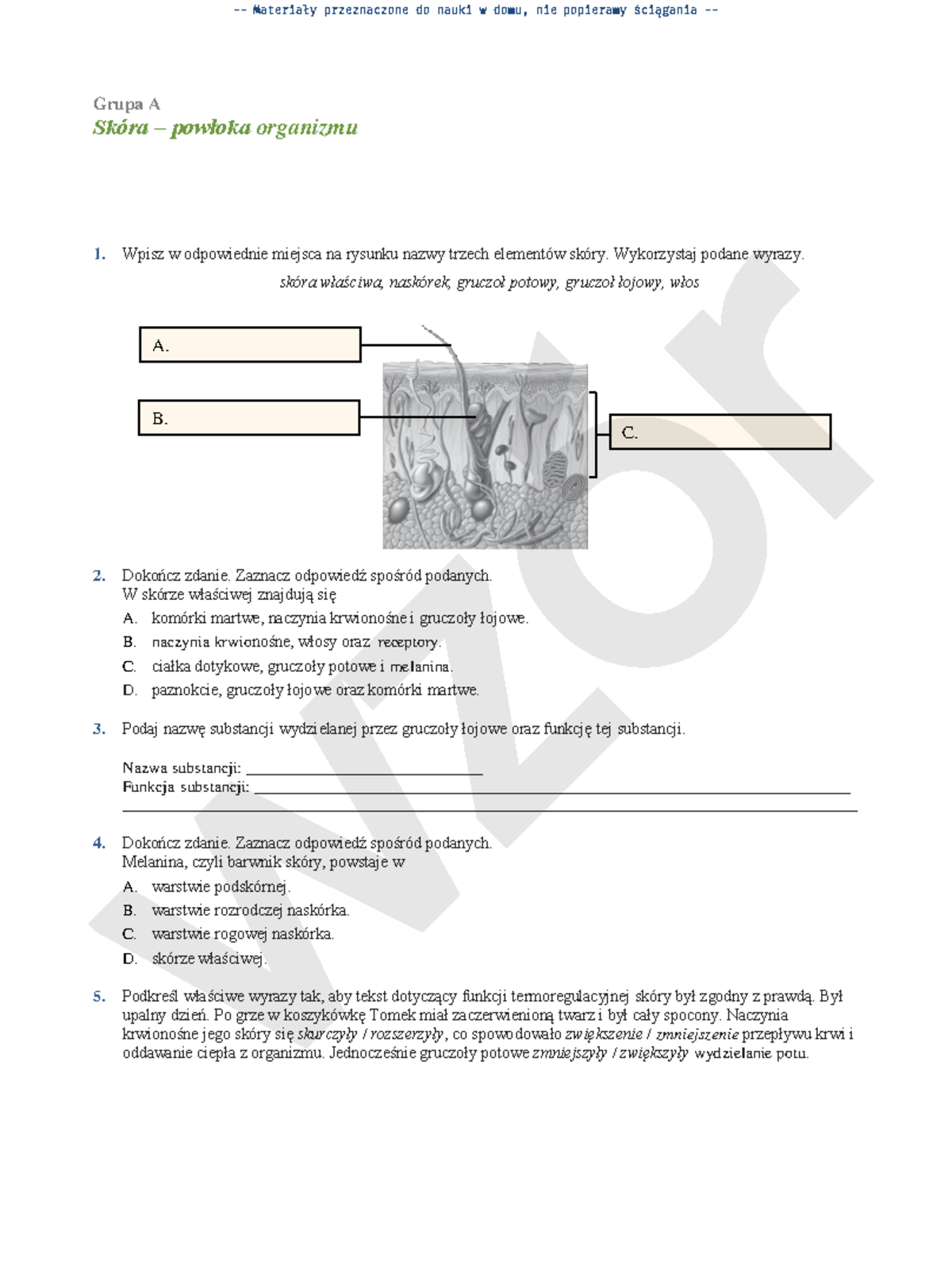 świat Roślin Sprawdzian Puls życia www.studocu.com