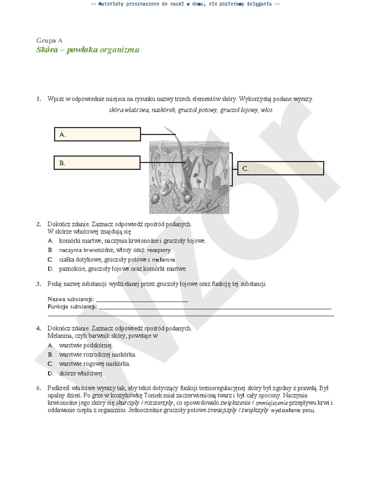 Sprawdzian Z Działu Ewolucja życia www.studocu.com