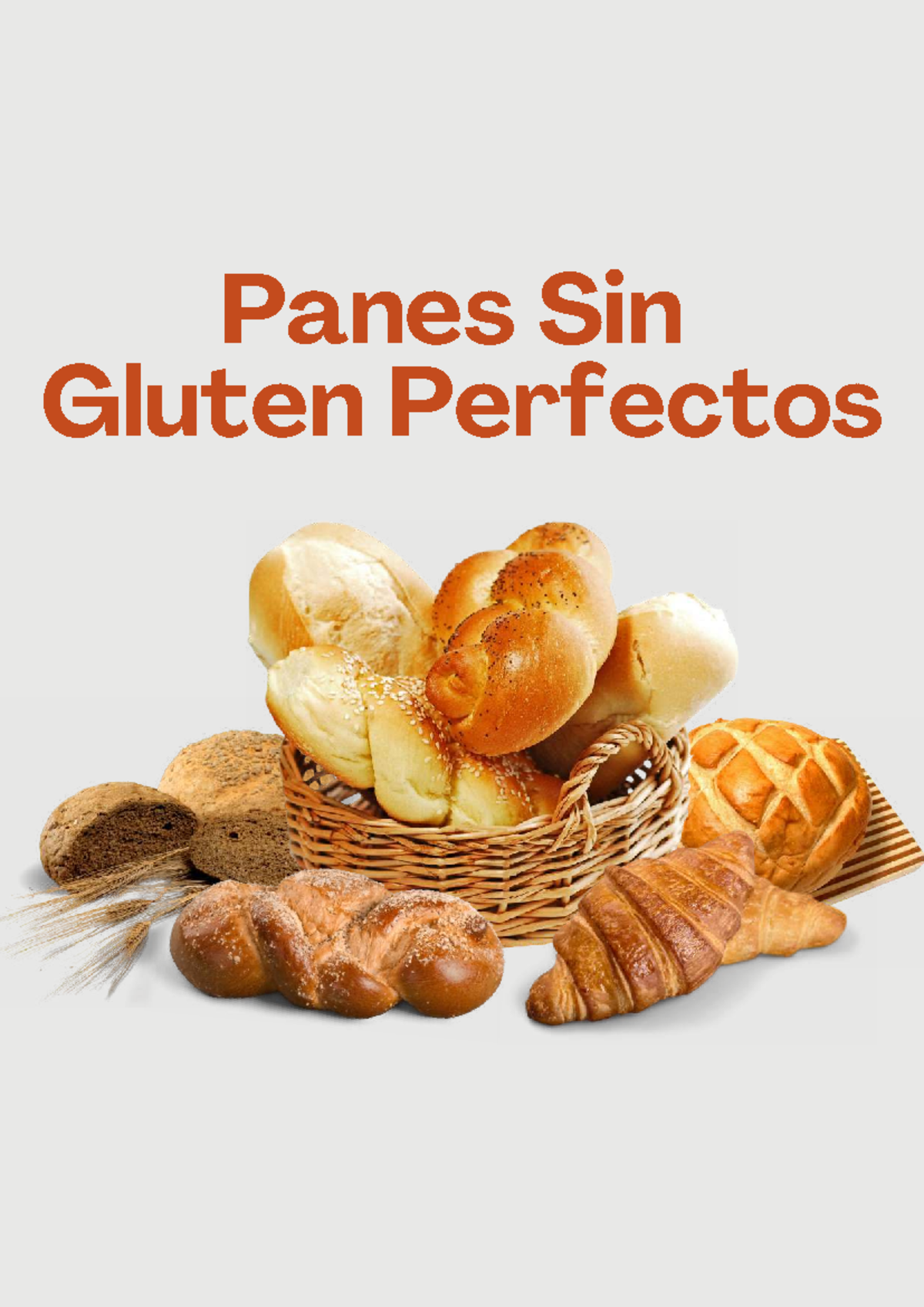 Panes Sin Gluten: Recetas Variadas y Deliciosas - Bsbdz - Studocu