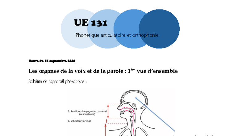 UE 131 Cours de Phonétique Articulatoire : Anatomie de la Voix - Studocu