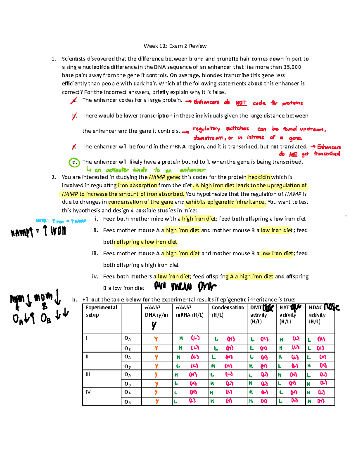 Week 12 Exam 2 Review: Key Concepts in Genetics and Epigenetics - Studocu