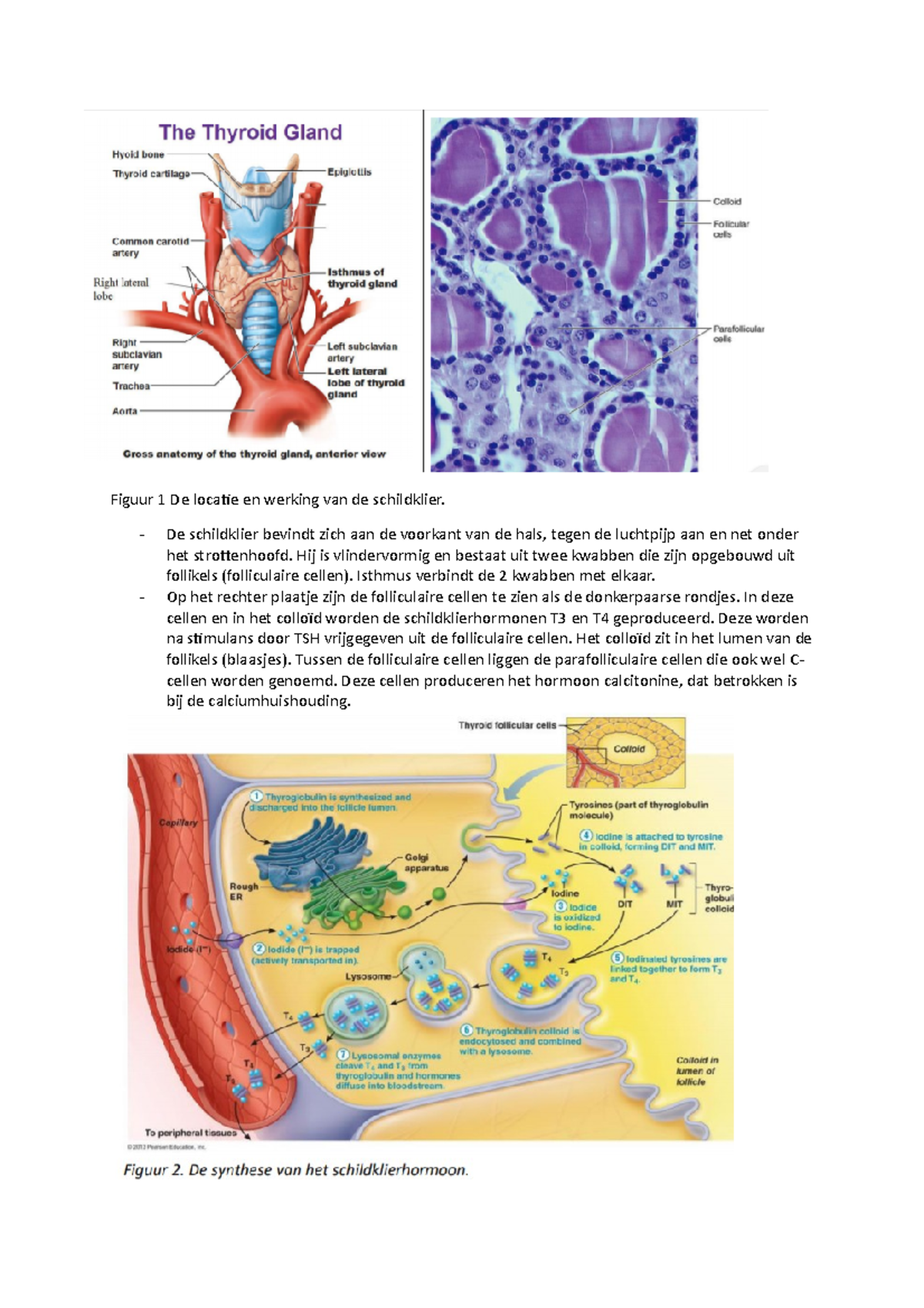 Onam bilan yaxshi jinsiy aloqa video