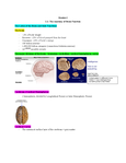 NEUR1020 - UQ - The Brain and Behavioural Sciences - Studocu
