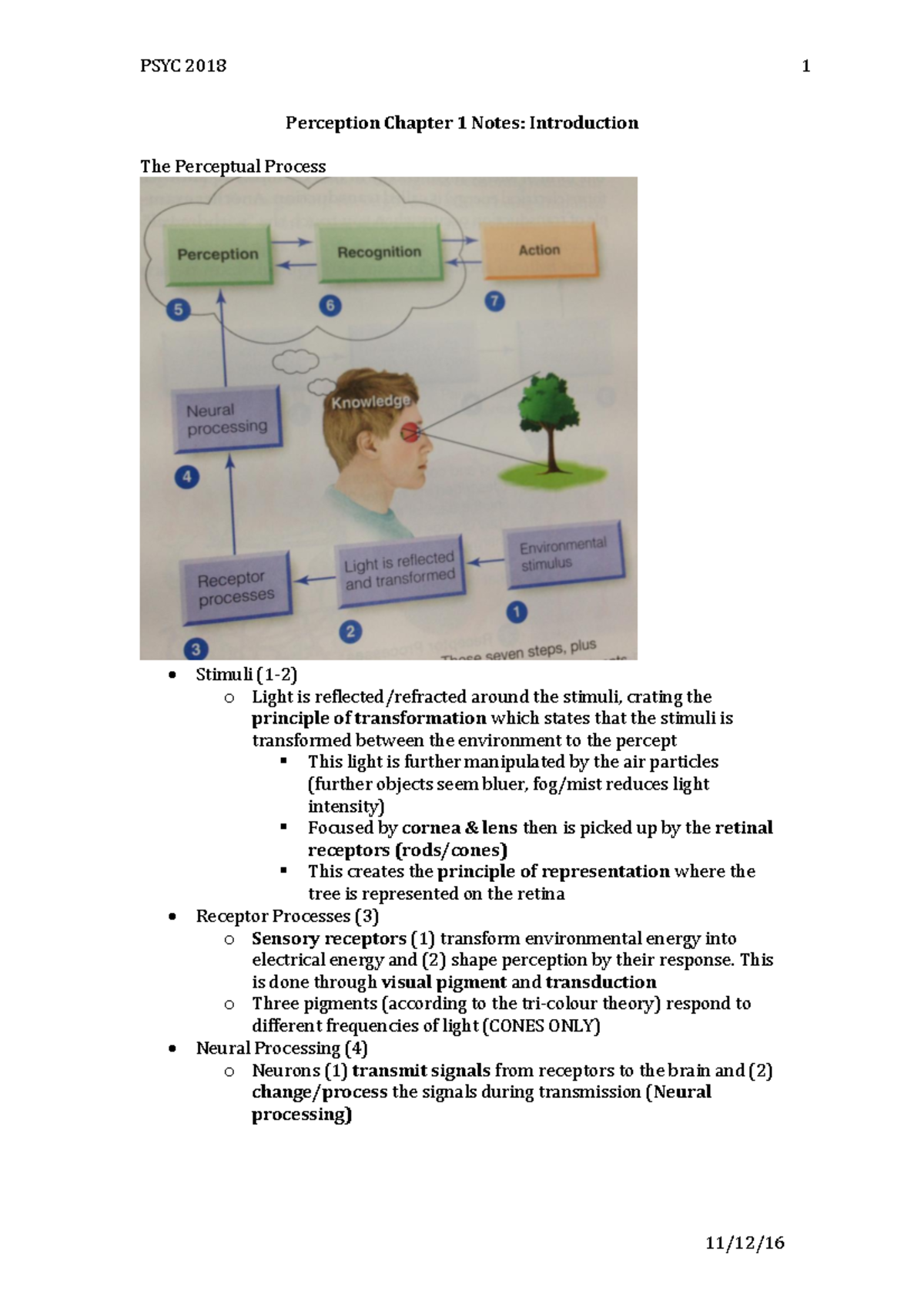 PSYC 2018 Sensation and Perception Chapter 1-5 Summary Notes - Studocu