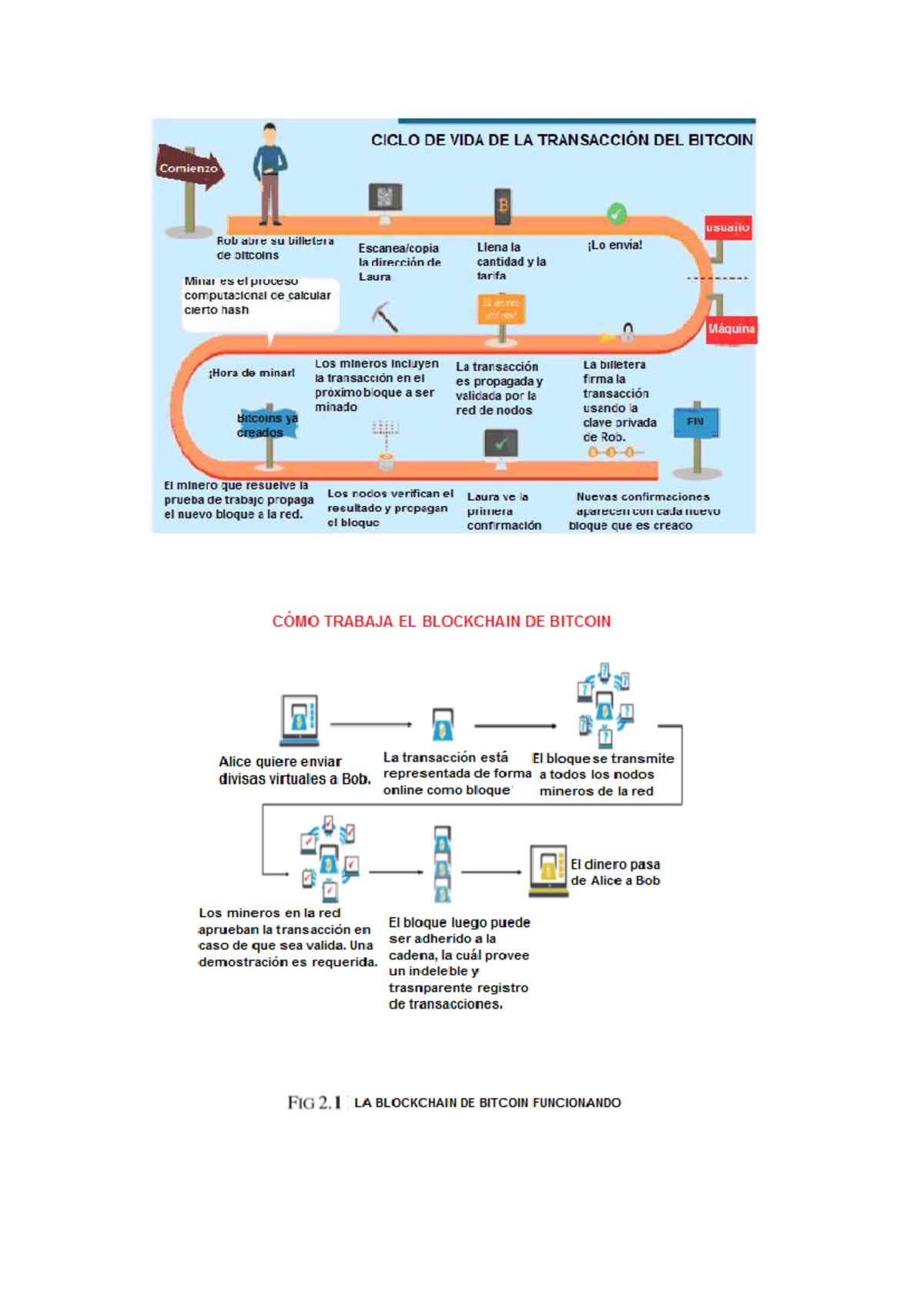 CICLO DE VIDA DE LA TRANSACCIÓN DEL BITCOIN: Proceso y Funcionamiento -  Studocu