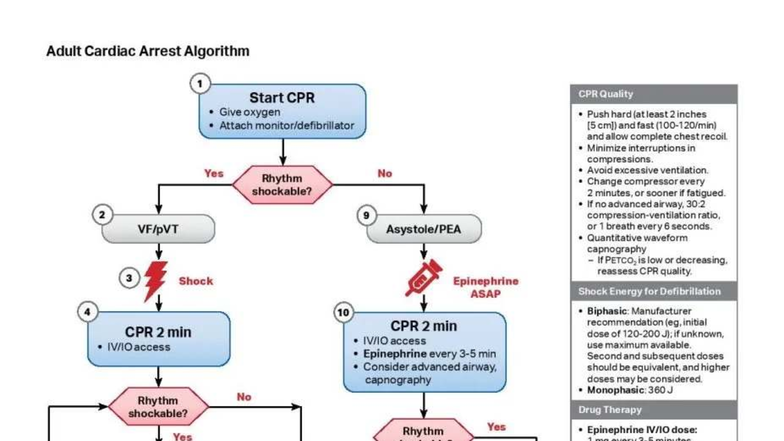 Adult Cardiac Arrest Algorithm - Lecture 4 Notes - Studocu
