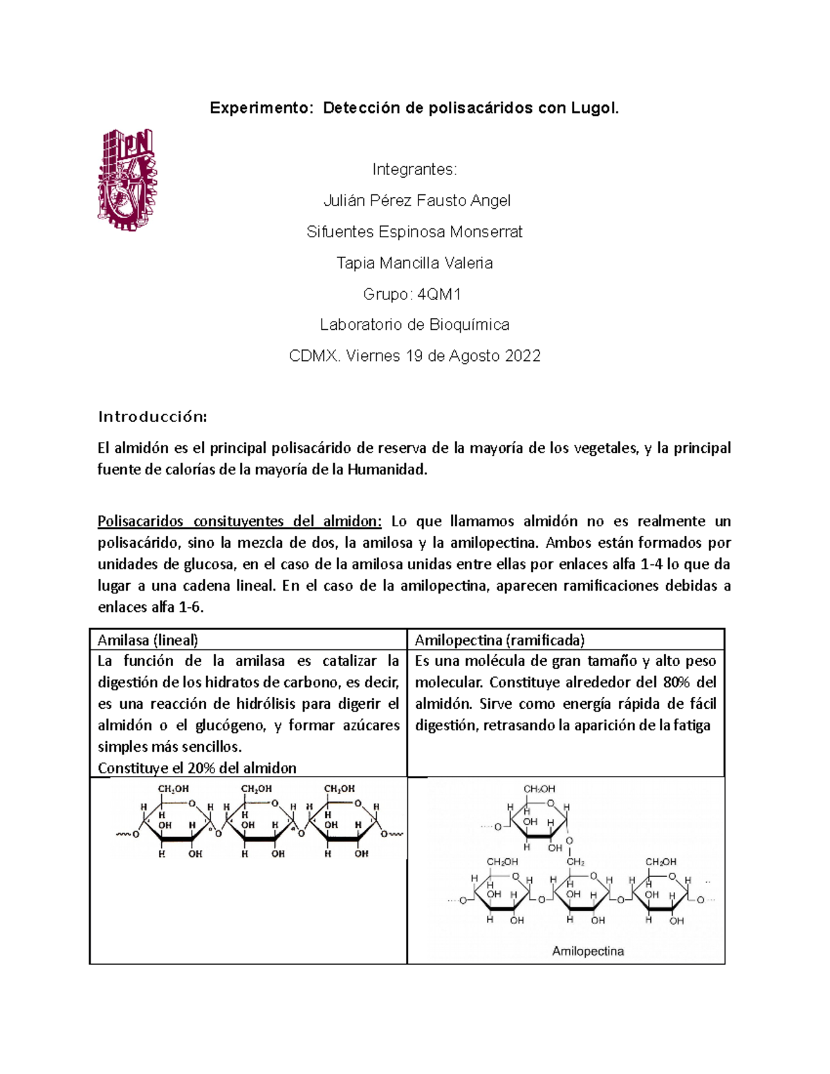 Ciclo de la Carnitina: Funcin, Etapas y Efectos Inhibitorios - Studocu