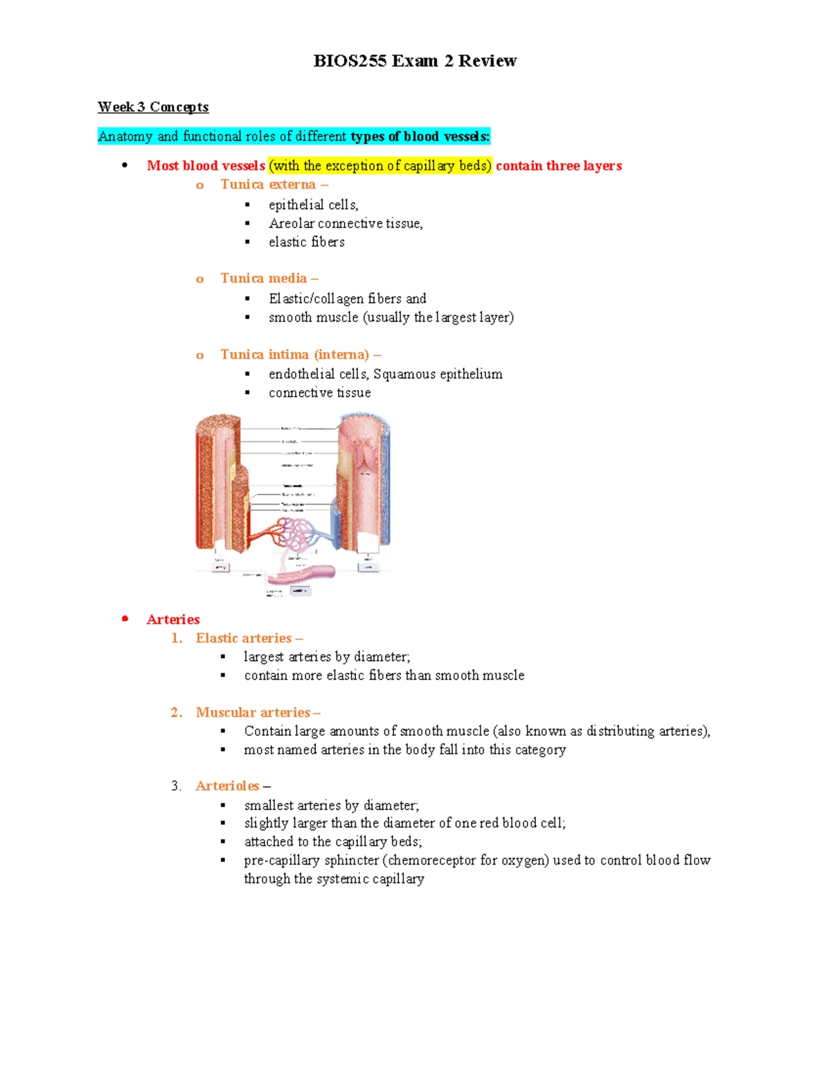 BIOS255 Exam 2 Review - Week 3 Concepts Anatomy and functional roles of ...