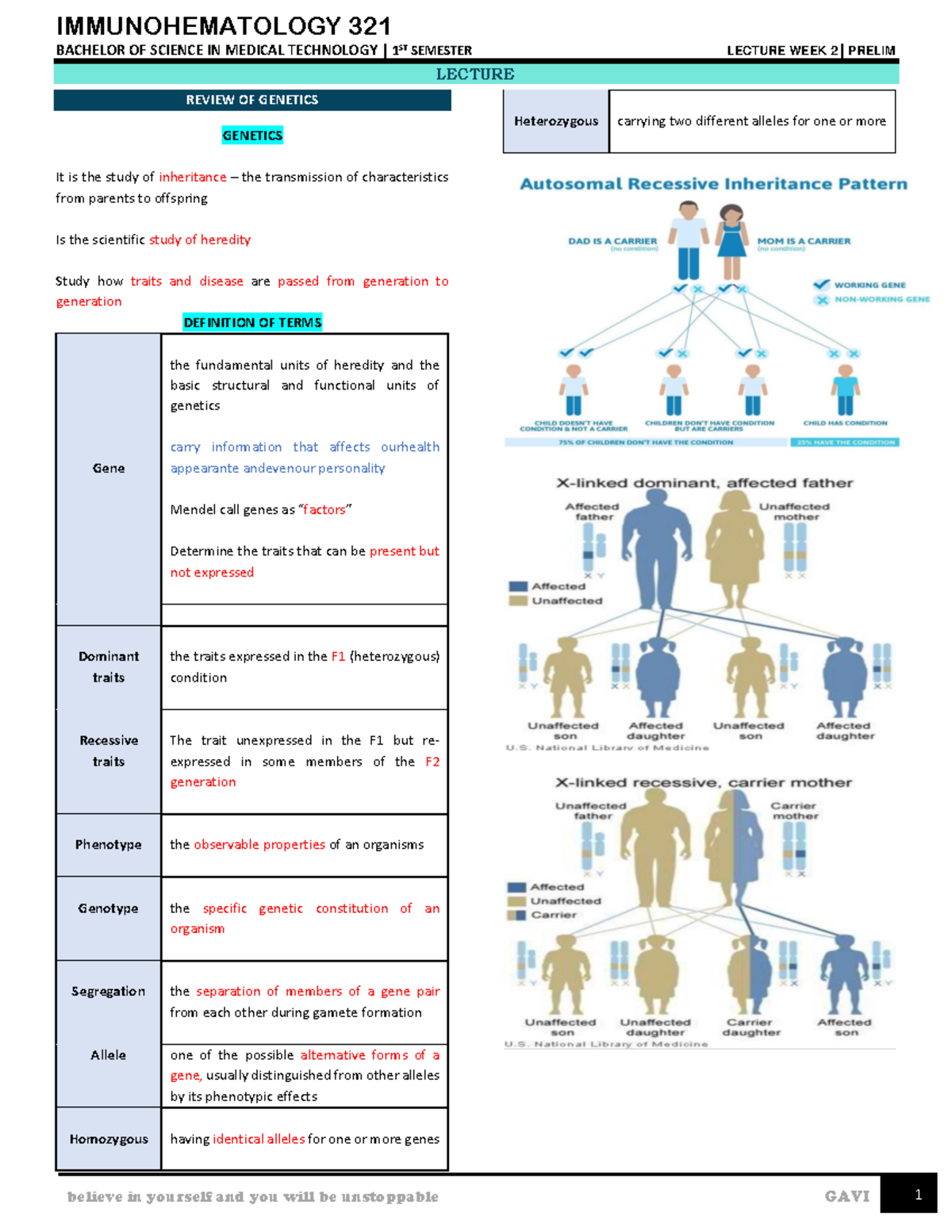 BB IMHM WEEK 2 Prelim - Genetics & Immunology Notes - Studocu