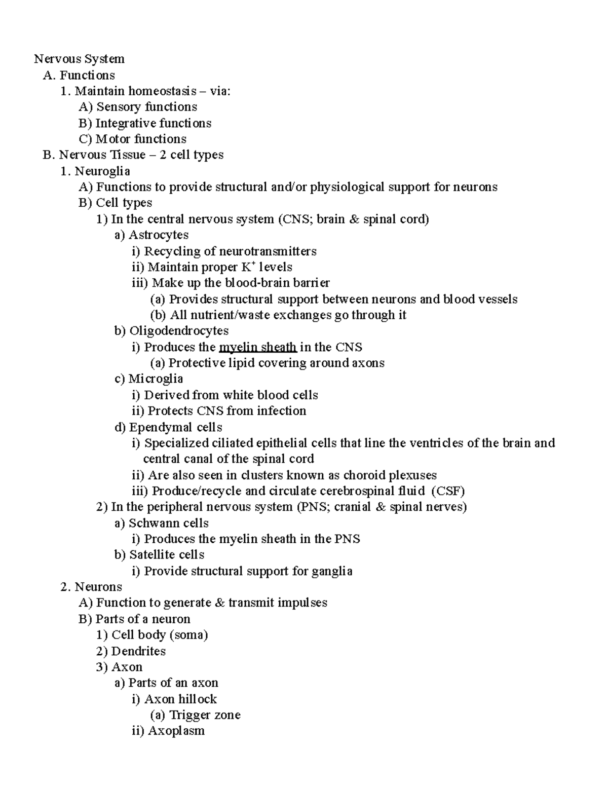 Nervous System Functions and Neurophysiology Notes (BIO 101) - Studocu
