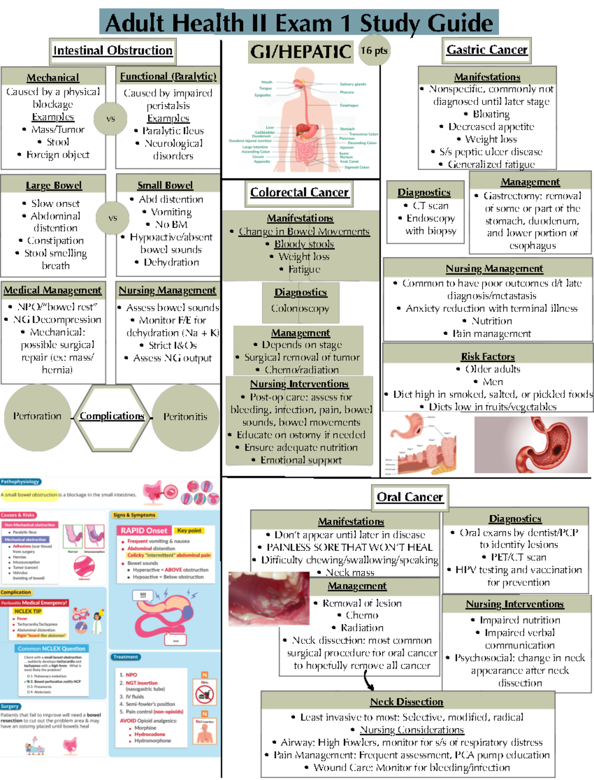 Adult Health II Exam 1 Study Guide: Key Concepts & Conditions - Studocu