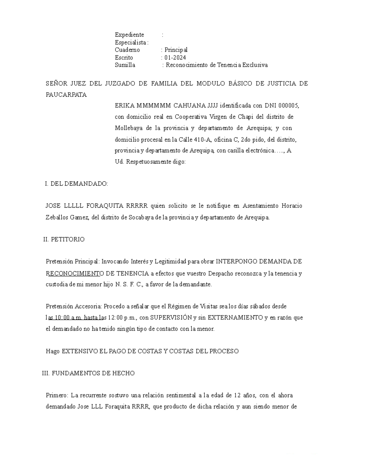 Demanda de Reconocimiento de Tenencia Exclusiva - Juzgado de Familia - Document Preview