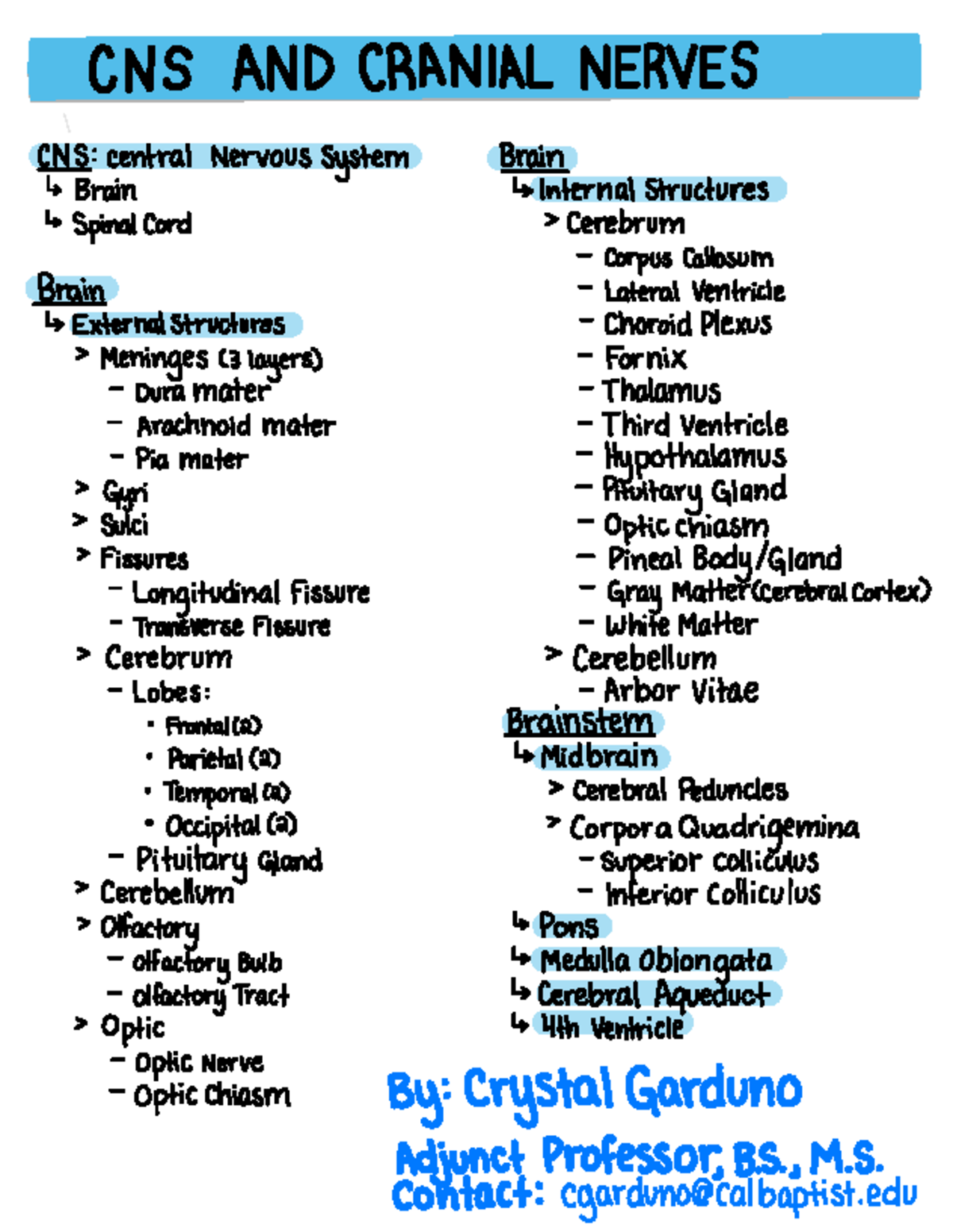 C NS 101: Overview of Central Nervous System & Cranial Nerves - Studocu