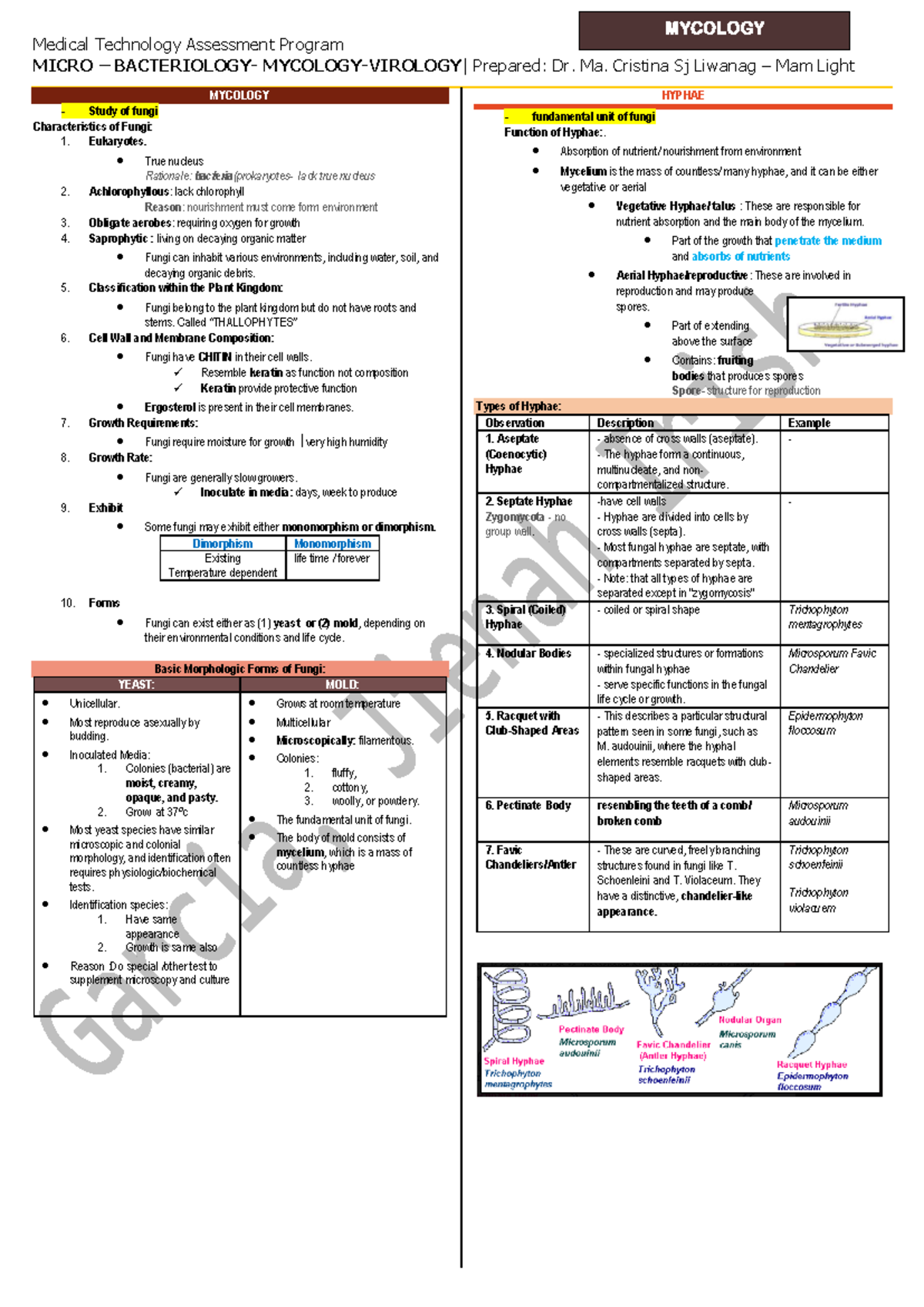 MTAP1 - Mycology: Key Concepts, Structures, and Functions - Document Preview