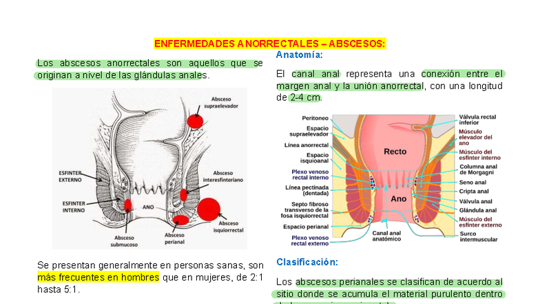 Absceso anal - Resumen colon y recto - ENFERMEDADES ANORRECTALES ...