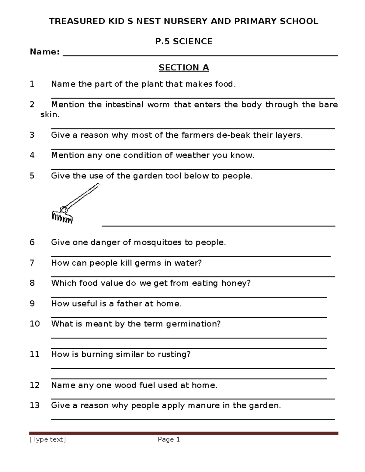 P.5 Science Exam Questions - Treasured Kids Nest School - Studocu