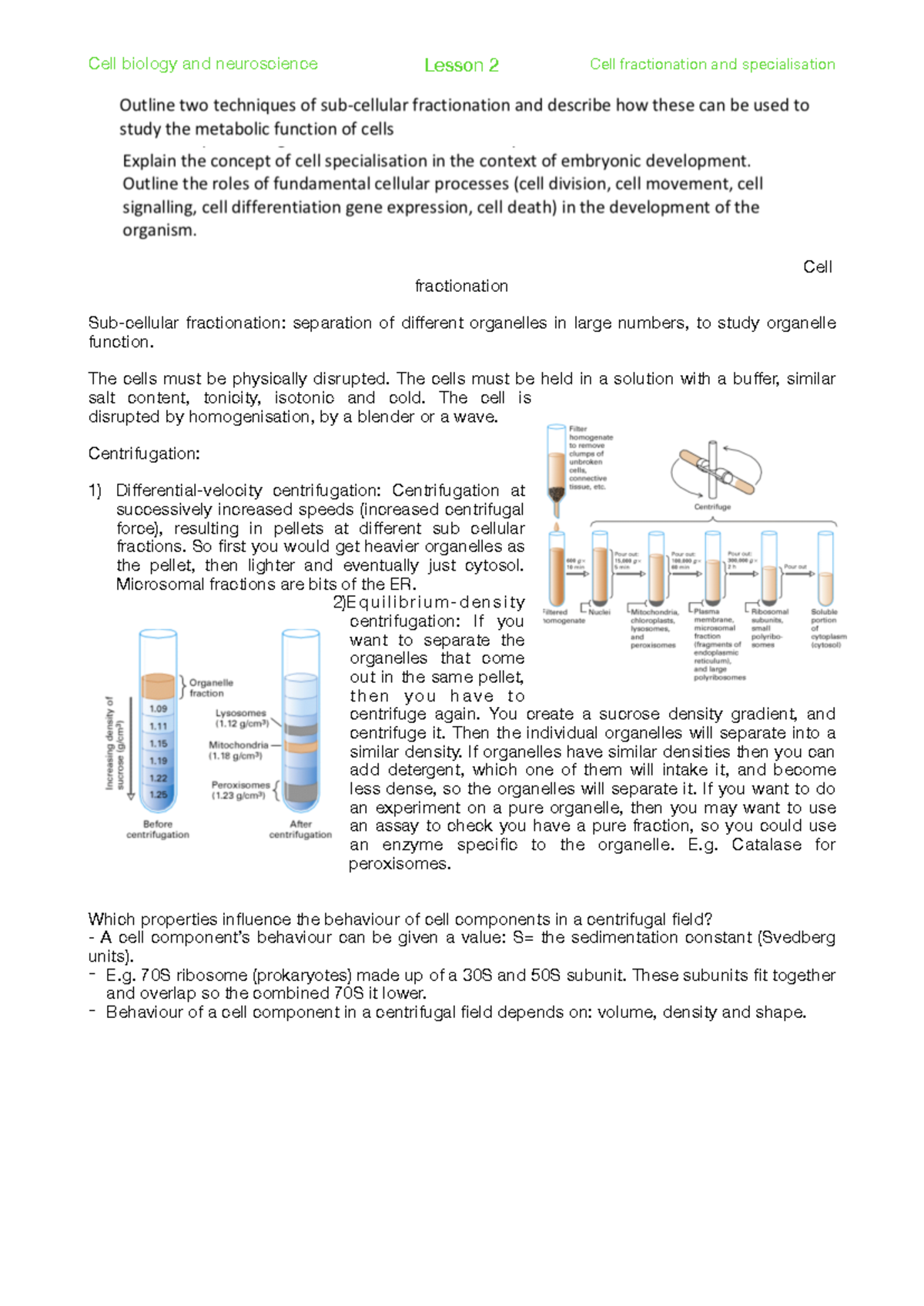 Cell Biology & Neuroscience: Lesson 2 - Cell Fractionation ...
