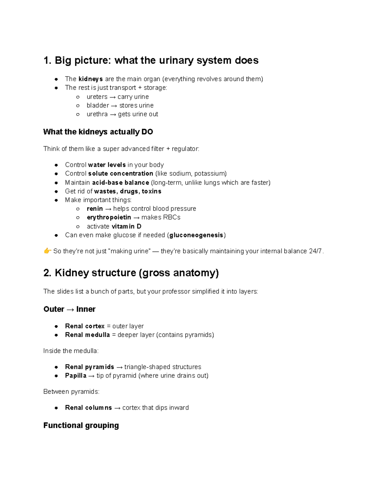 Chapter 25: Overview of the Urinary System Functions and Anatomy - Studocu