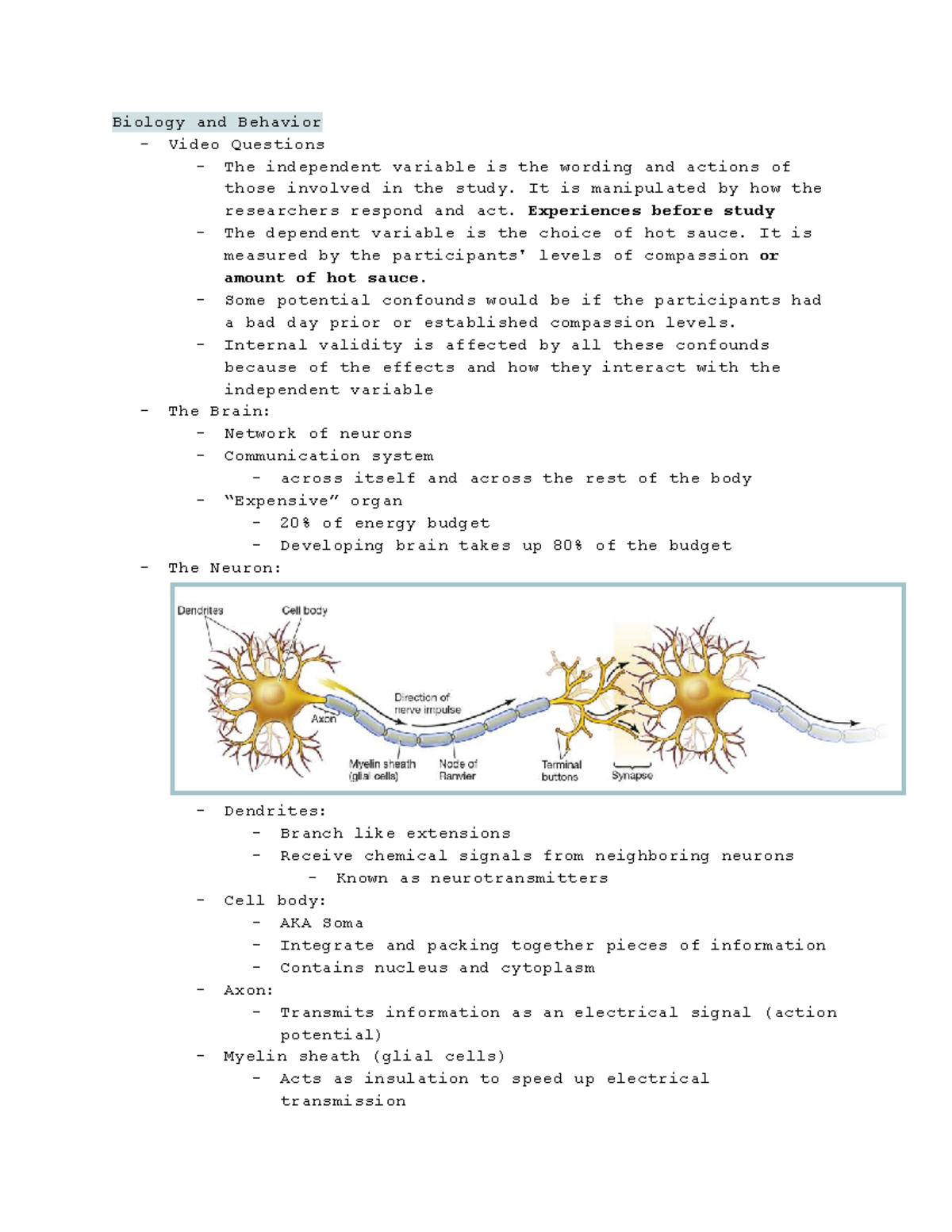 Neuroplasticity and Sensory Processing: Insights from Brain Function ...