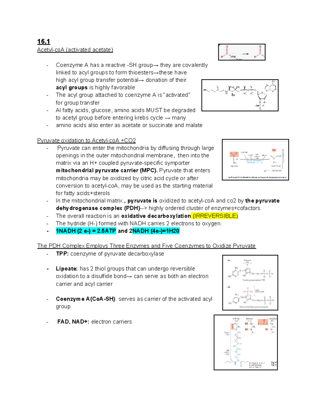 Bioc202 Unit 3: Coenzyme A and Pyruvate Metabolism Notes - Studocu