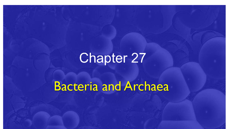 Chapter 27: Bacteria and Archaea - Quiz Notes - Studocu