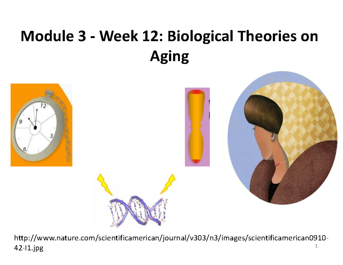 HLTH310 Module 3 Week 12: Theories of Aging and Longevity - Studocu