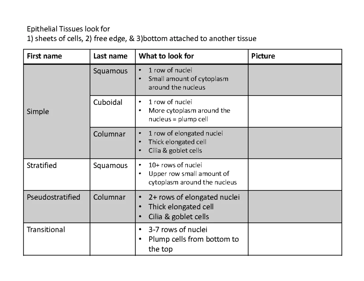 BIOL101 Chapter 8 Notes - Chapter 8: Patterns of Inheritance BIOL101 ...