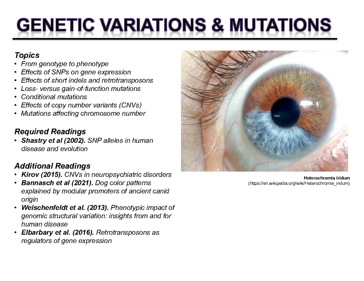 NROS430 Lecture 6: Mutations, Gene Expression, and Phenotypes - Topics ...