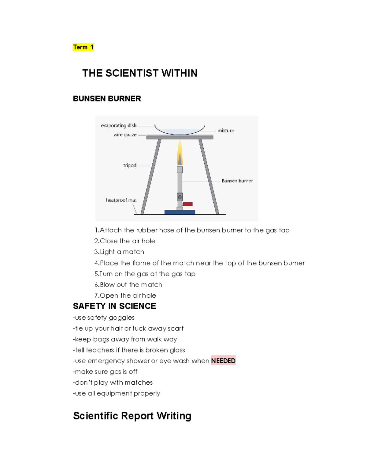 Science Exam - Half Yearly: The Scientist Within and Bunsen Burner ...